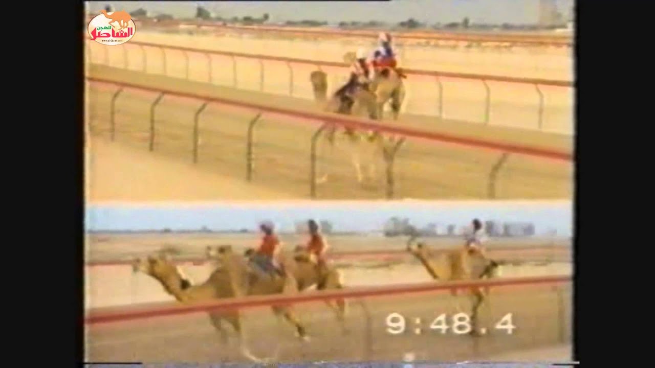 الظبي المملوكة لسمو الشيخ منصور بن طحنون بن محمد ال نهيان في ختامي دبي 1994