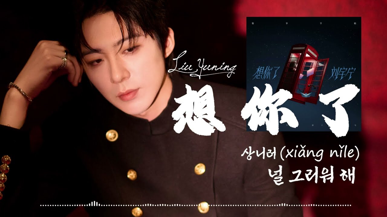 ★수정,음원발매★-《想你了 : 상니러❣️ / 널 그리워해》🎧 한글가사/병음발음 _ 류우녕 (刘宇宁) //상니료