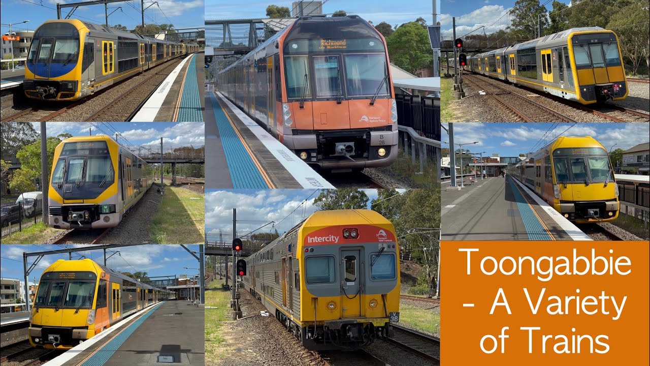 Transport for Sydney Vlog 565: Toongabbie Part 2 - A Variety of Trains