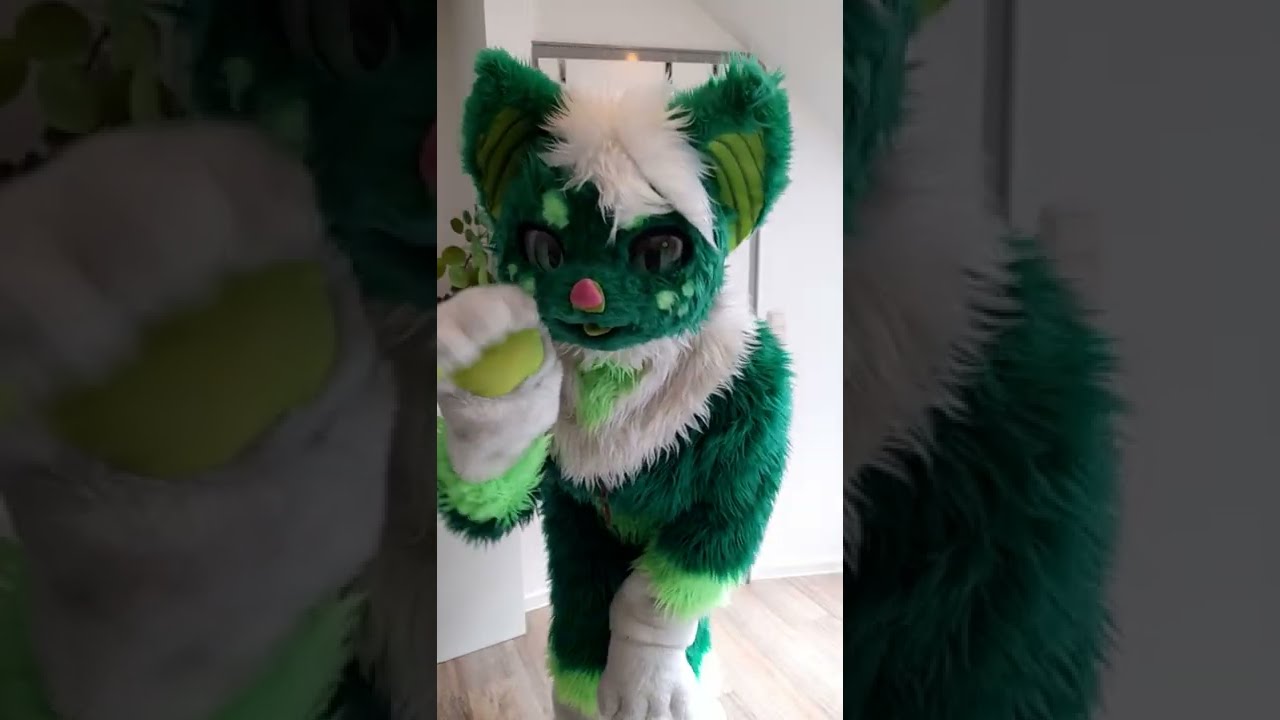 #fursuitfriday Floofy and Ansa ~ ♥