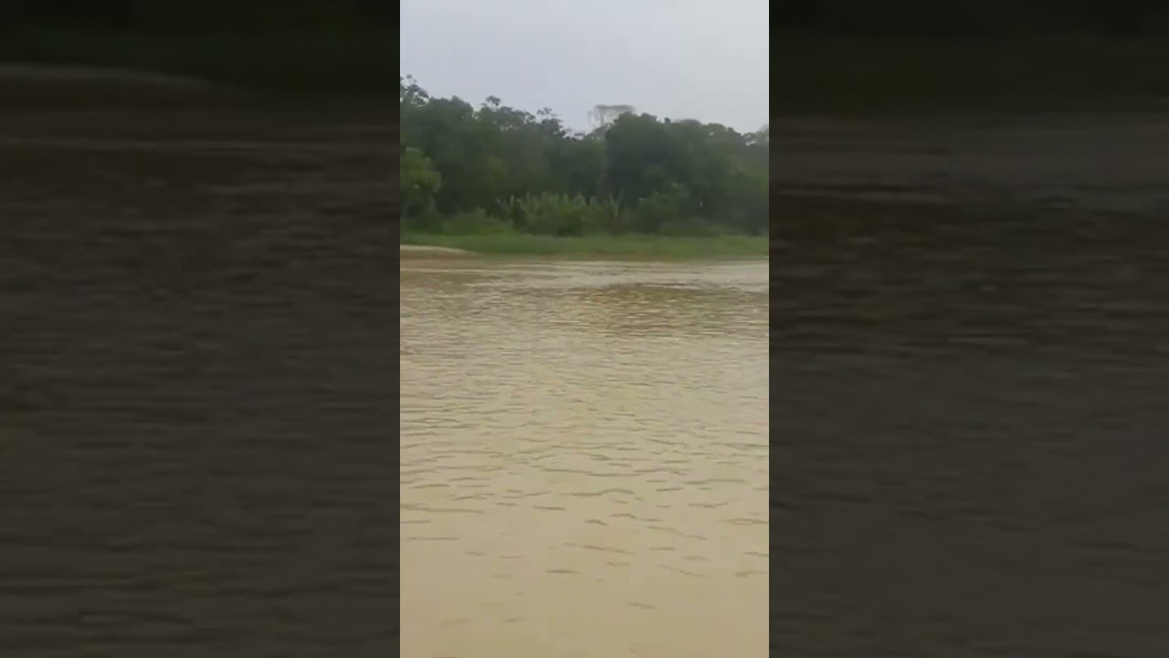 Bora subir o rio Purus de voadeira?