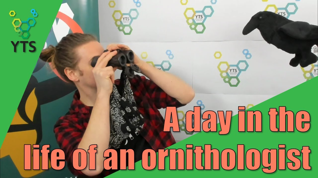 A day in the life of an ornithologist - Matthew Fielding