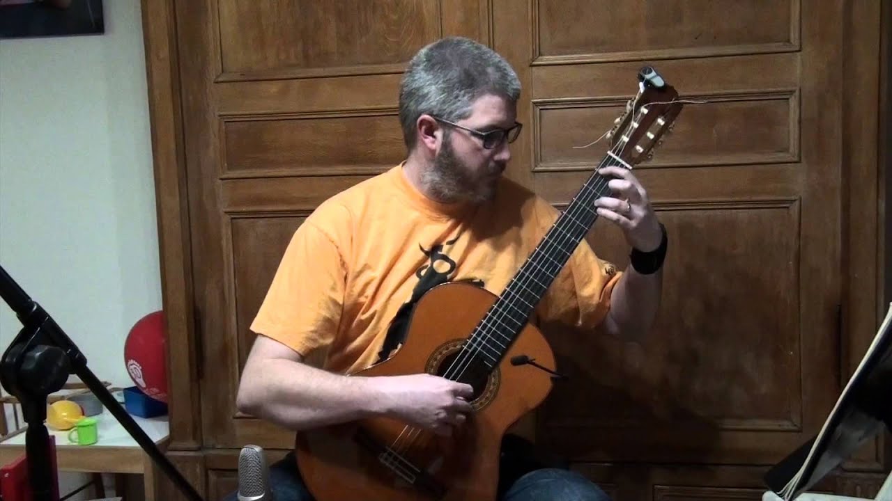 Thierry Tisserand : The lady and the Harp