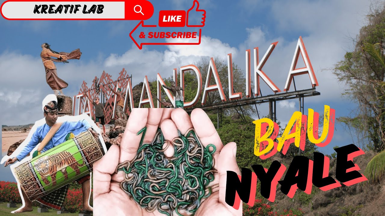 Fakta Unik Bau Nyale Lombok: Tradisi Cacing Laut dan Putri Mandalika
