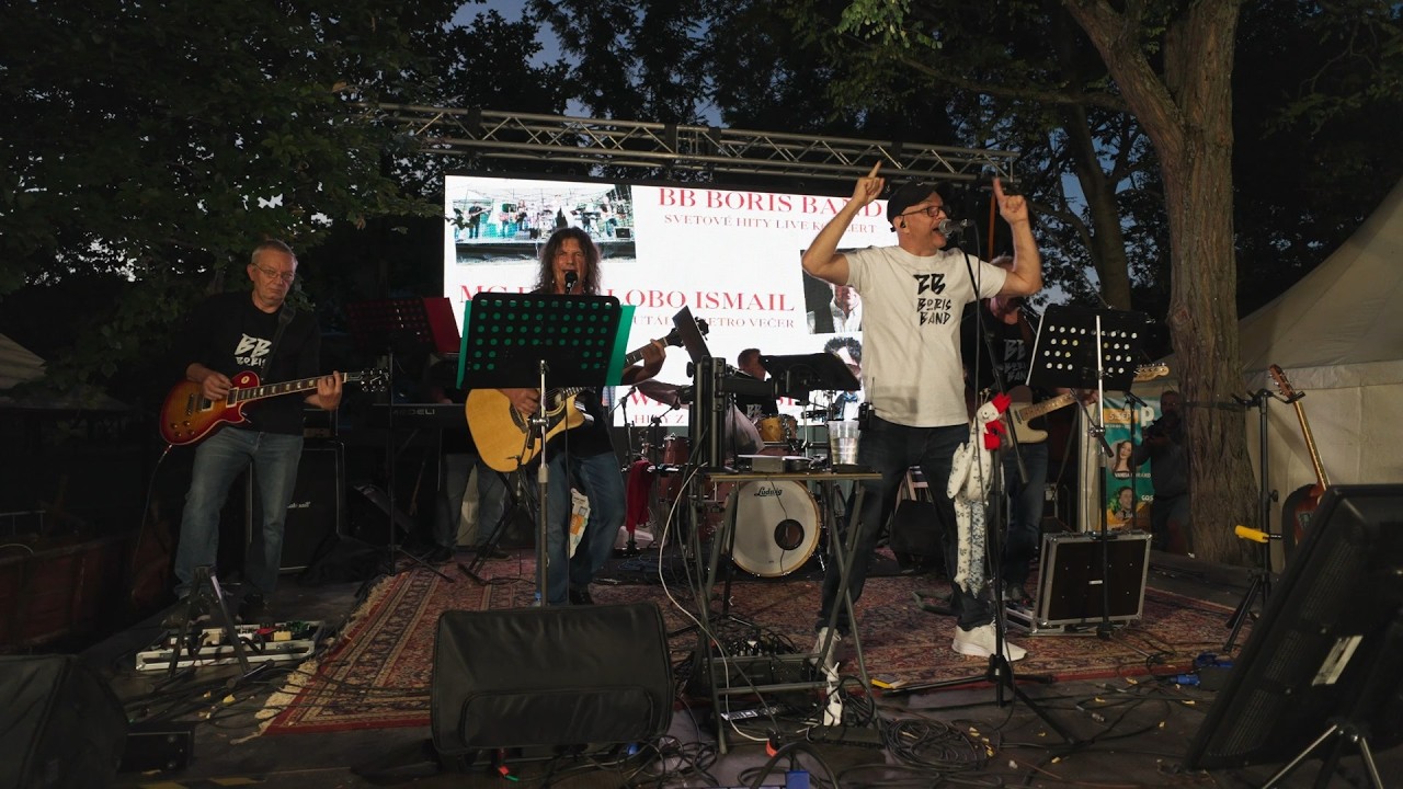 Repül a bálna cover / BB Boris Band