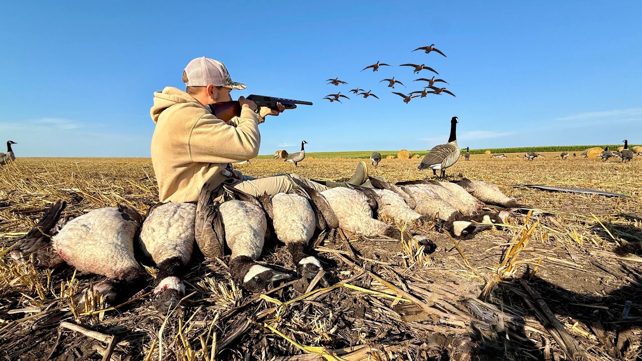 Goose Hunting on Opening Day! (Early Season 2025)