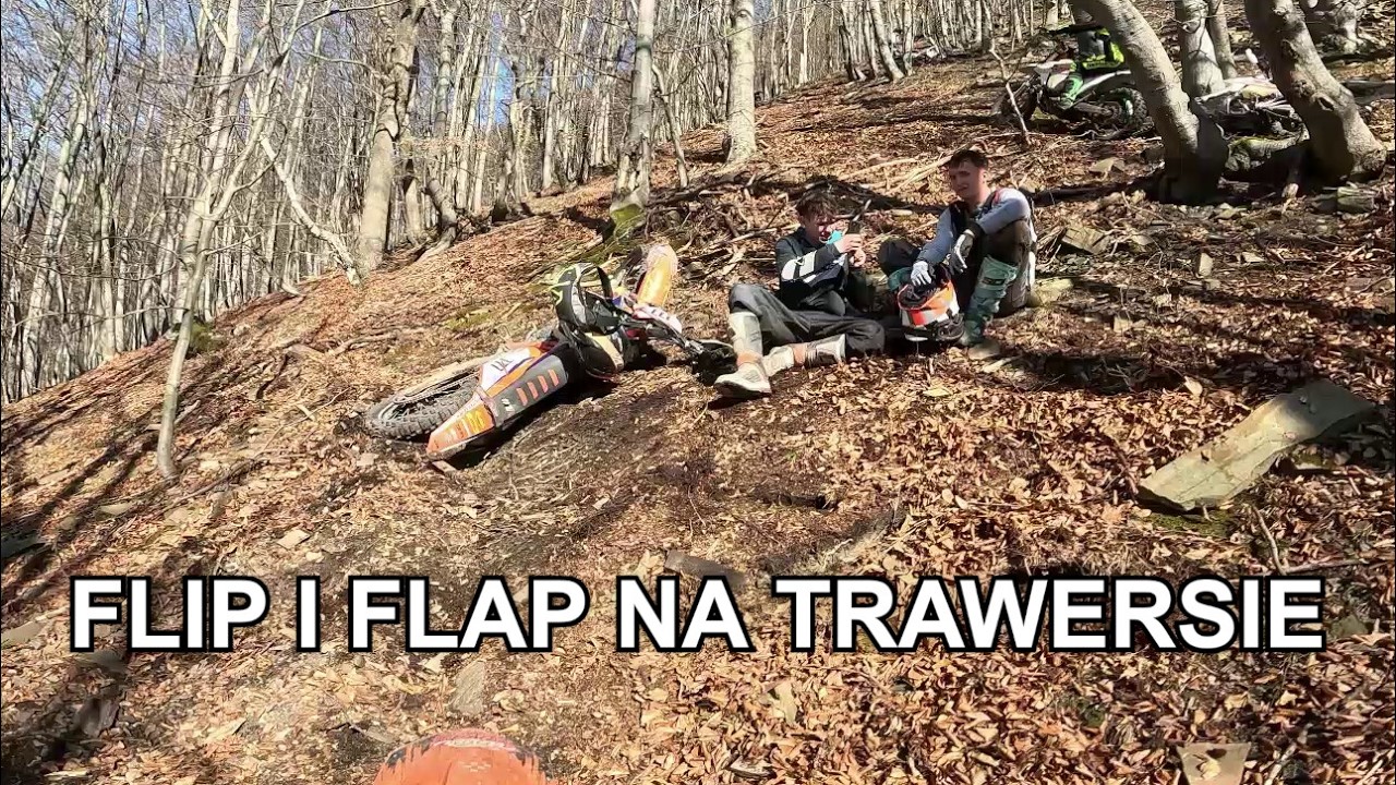 Flip i Flap na trawersie