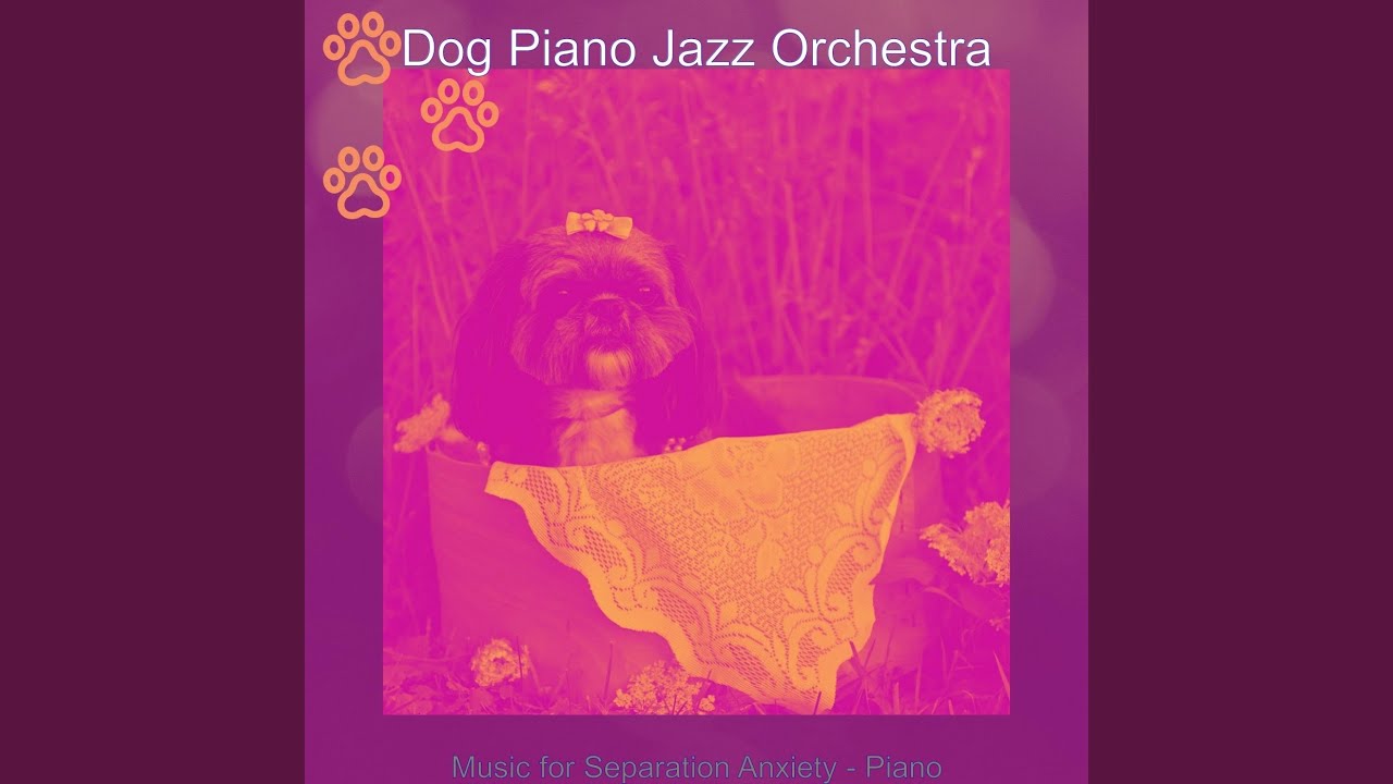 Vintage Music for Relaxing Dogs