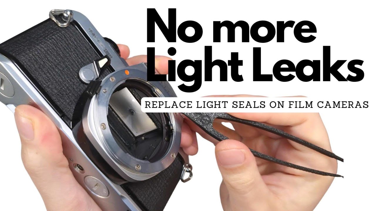 How to change light seals on a 35mm SLR in 2025 (DE Sub)