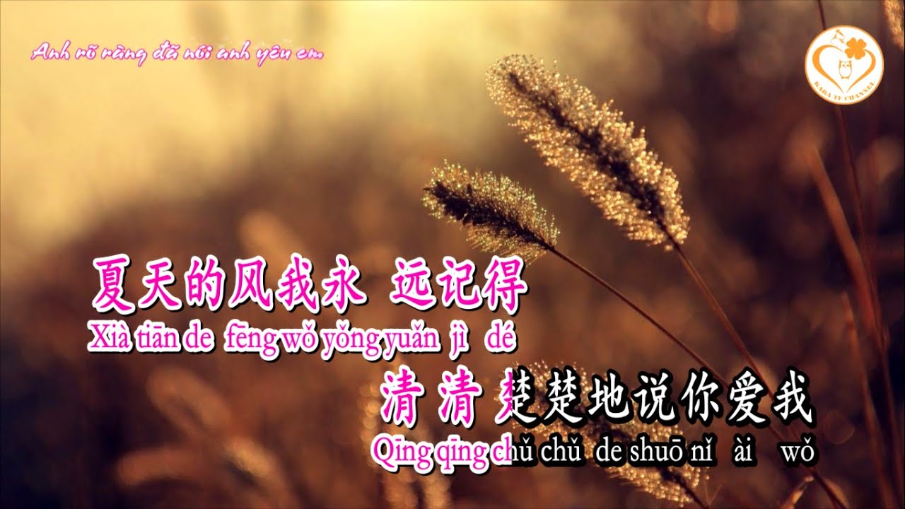 [Karaoke] Cơn Gió Mùa Hạ - Ôn Lam
