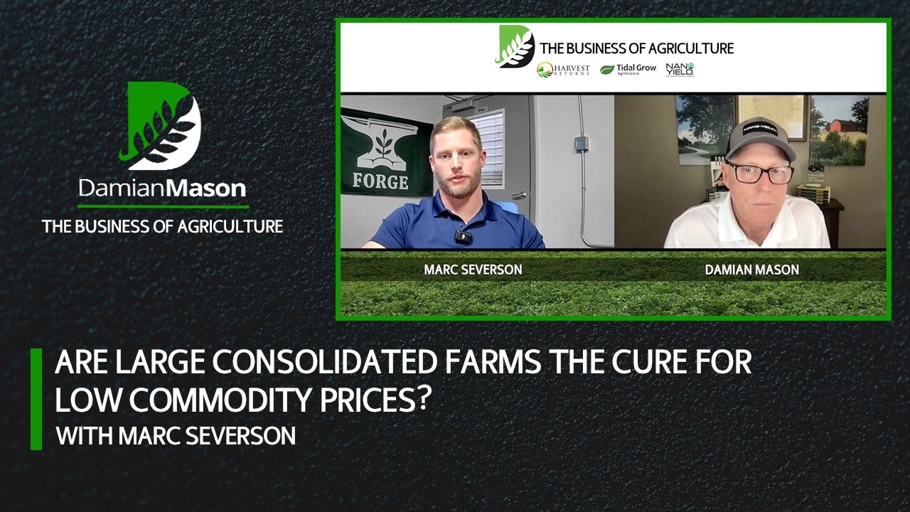Are Large Consolidated Farms the Cure for Low Commodity Prices? | Damian Mason Podcast