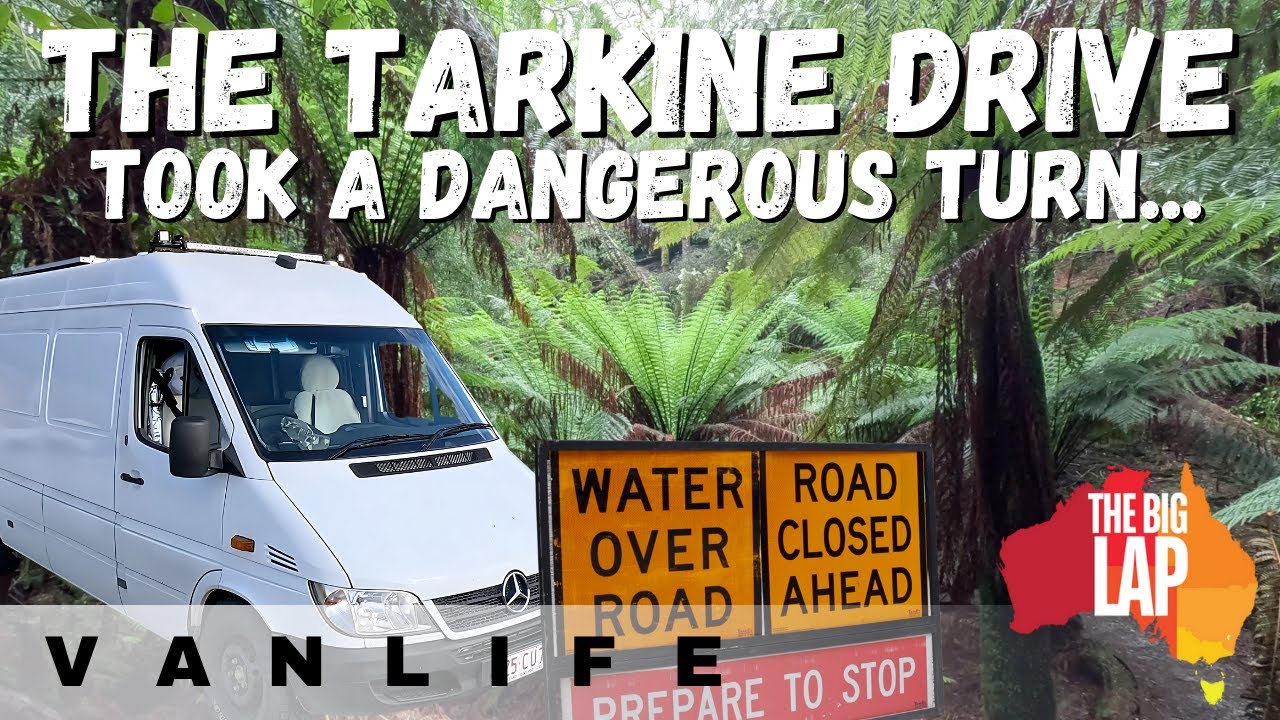 TASMANIA: The Tarkine Rainforest - Into the wild (Part 2)