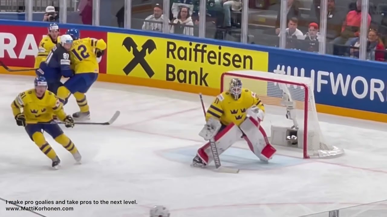 NHL / PRO GOALIES MOVEMENT SAMPLES