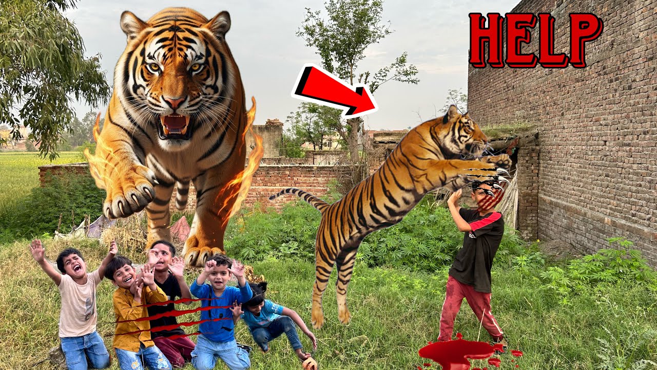 Help tiger nay bachoo per attack kar dia😥.#tigerattack #petsvlogging #dragonattack 