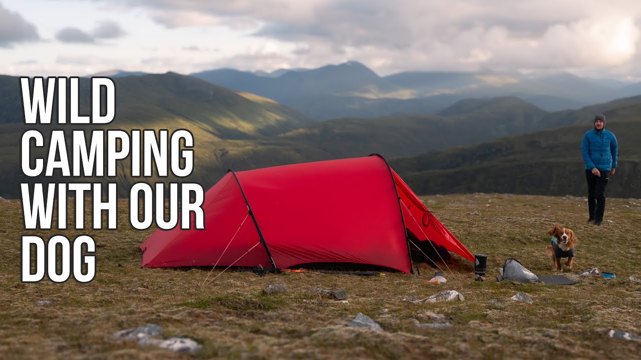 Кемпинг Summit Wild Camp с нашей собакой | Шотландское нагорье | Хиллеберг Анджан 3