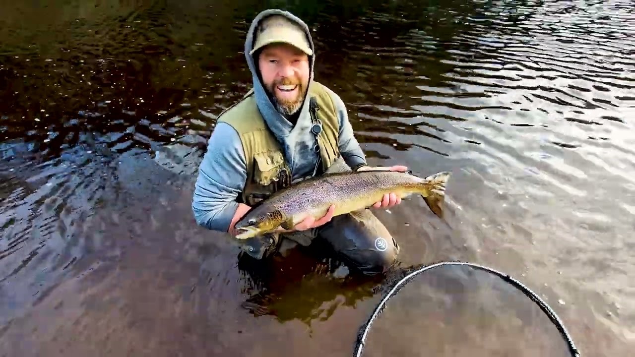 1st Salmon 2024, River Coquet, Northumberland.