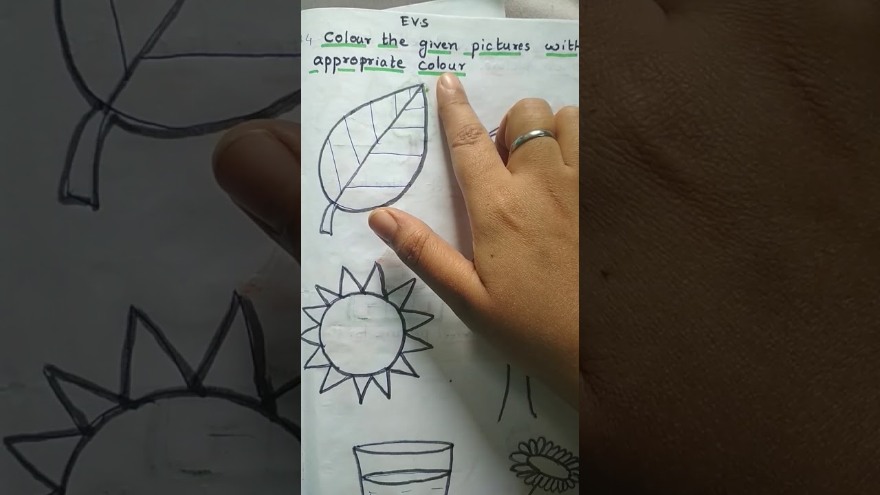 Evs worksheet for ukg class।evs worksheet for ukg students