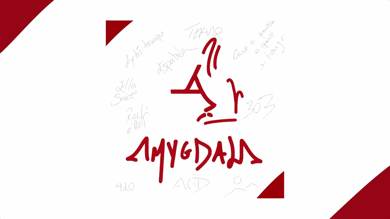 ELLA SABE _ AMYGDALA