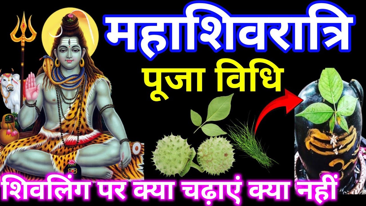महाशिवरात्रि की पूजा विधि 2026| शिवलिंग पर क्या चढ़ाएं क्या नहीं | क्या दान करना चाहिए।। 