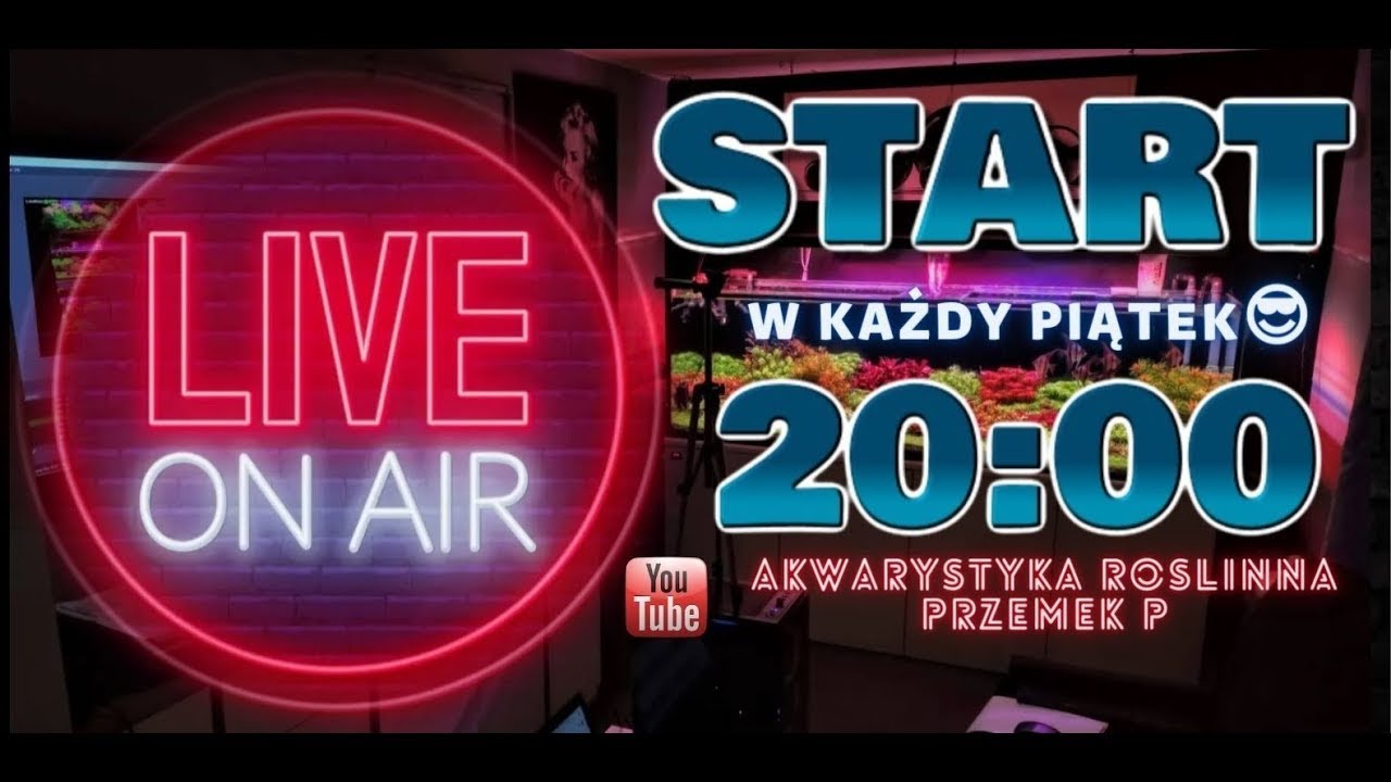 live akwarium piatek