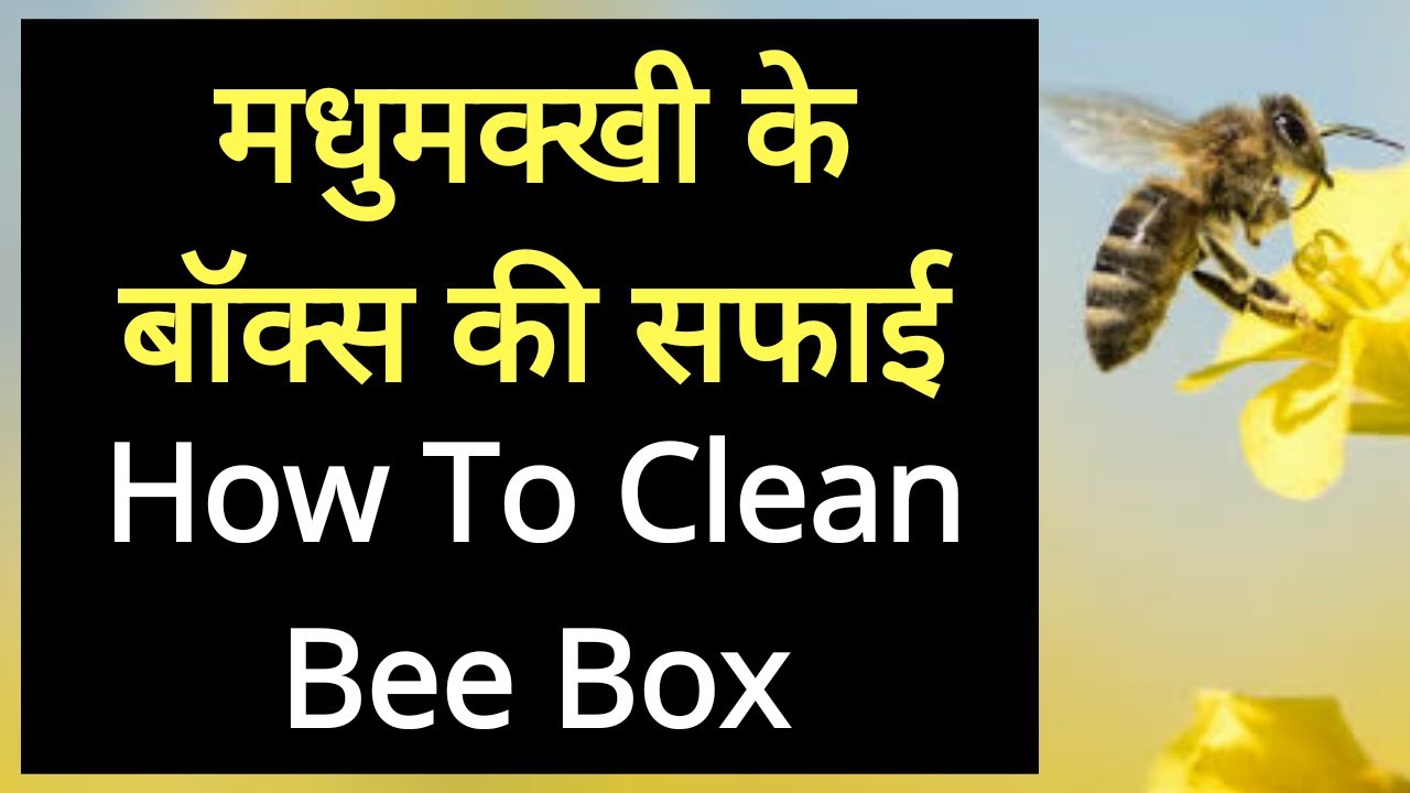 Bee Keeping || How to Clean Bee Box II मधुमक्खी के डिब्बे की सफाई कैसे करें।