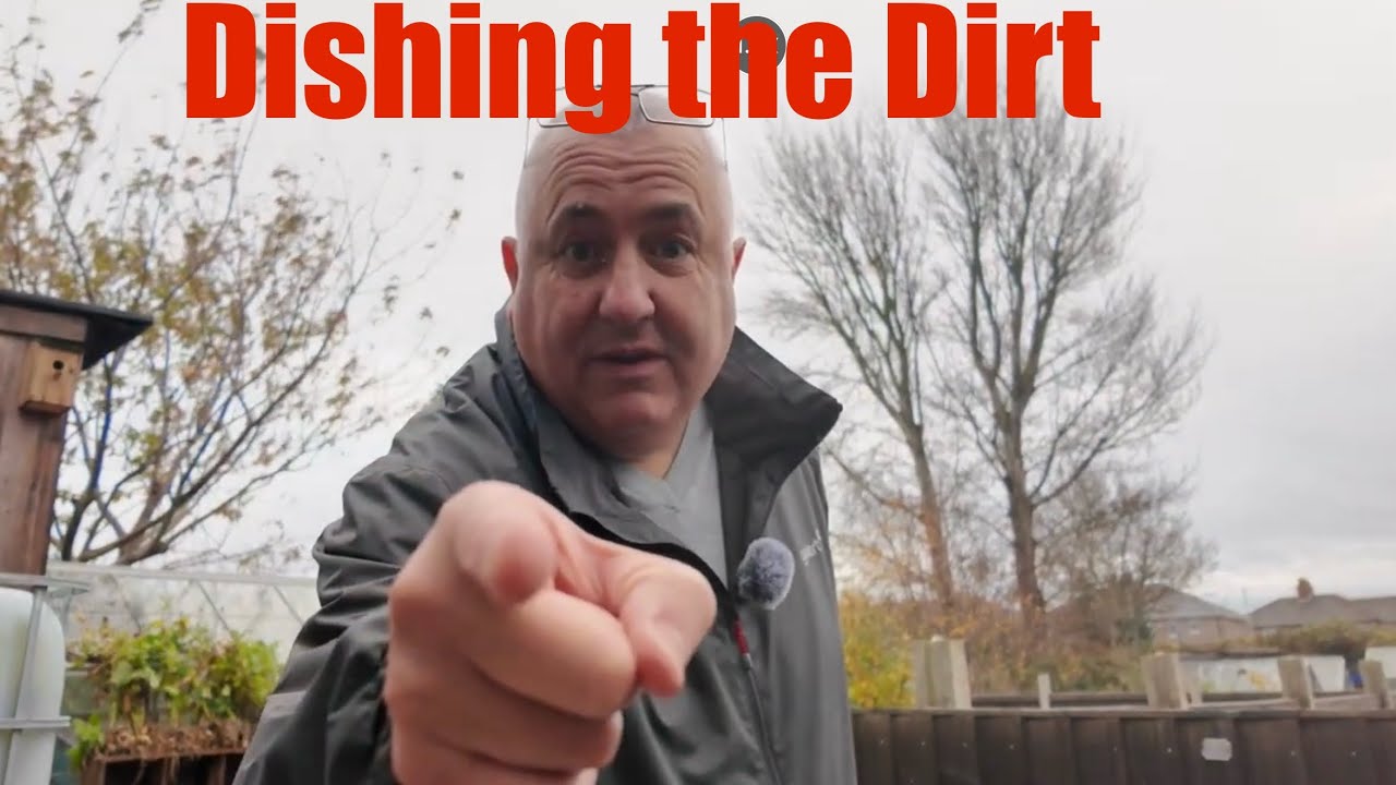 Dishing the Dirt #plants #dhalia #gardening #birdfeeder 