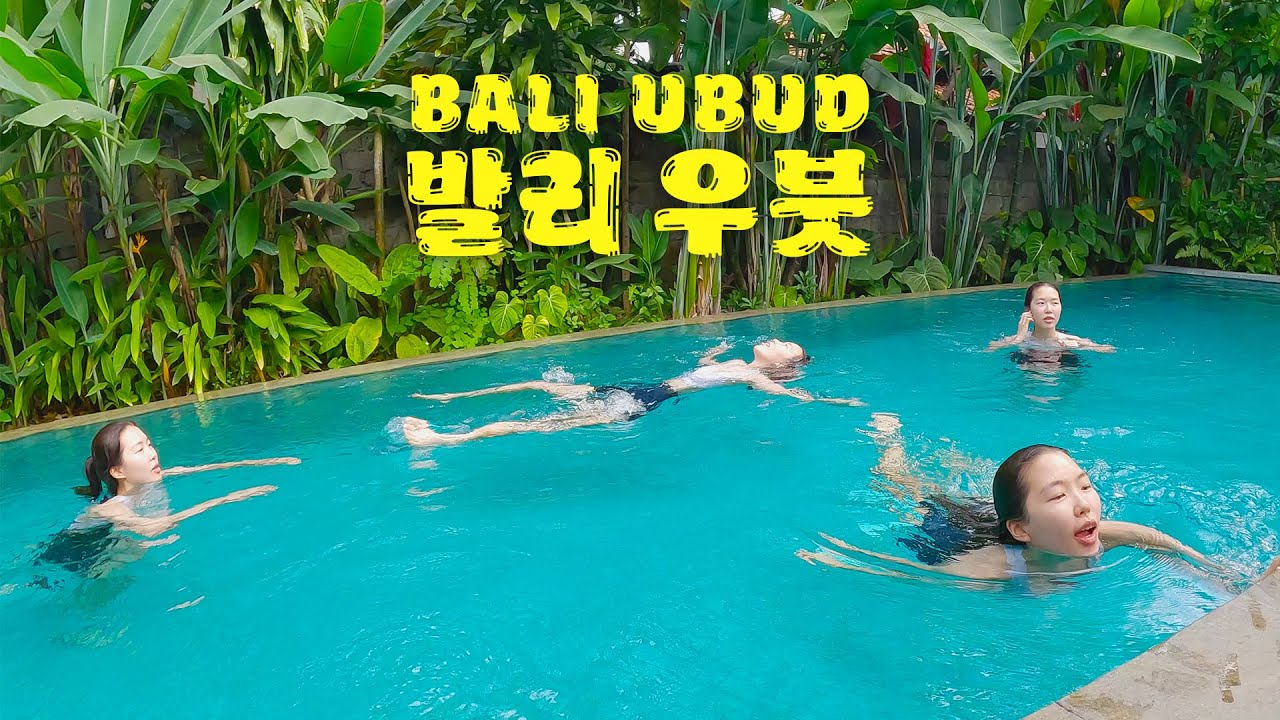 발리가 신혼여행지라는 생각은 버리자구❗발리는 무조건 우붓∥🇮🇩인도네시아 발리1