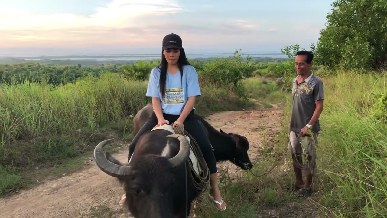 MHIA RIDING CARABAO IN THE MOUNTAIN SCARRY EXPERIENCE ?? EXPAT LIFE IN THE PHILIPPINES
