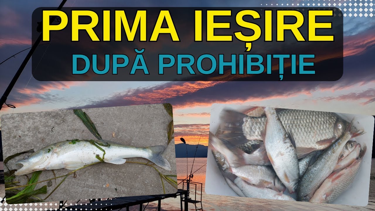 Prima partida de pescuit dupa prohibitie 2024 #pescuit #fishing #foryou