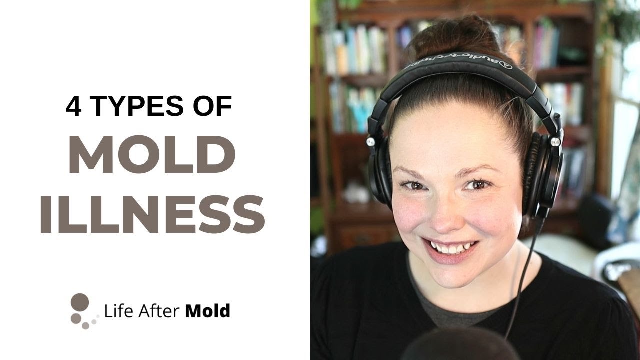 Beginner's Guide to the 4 Types of&nbsp;Mold&nbsp;Illness