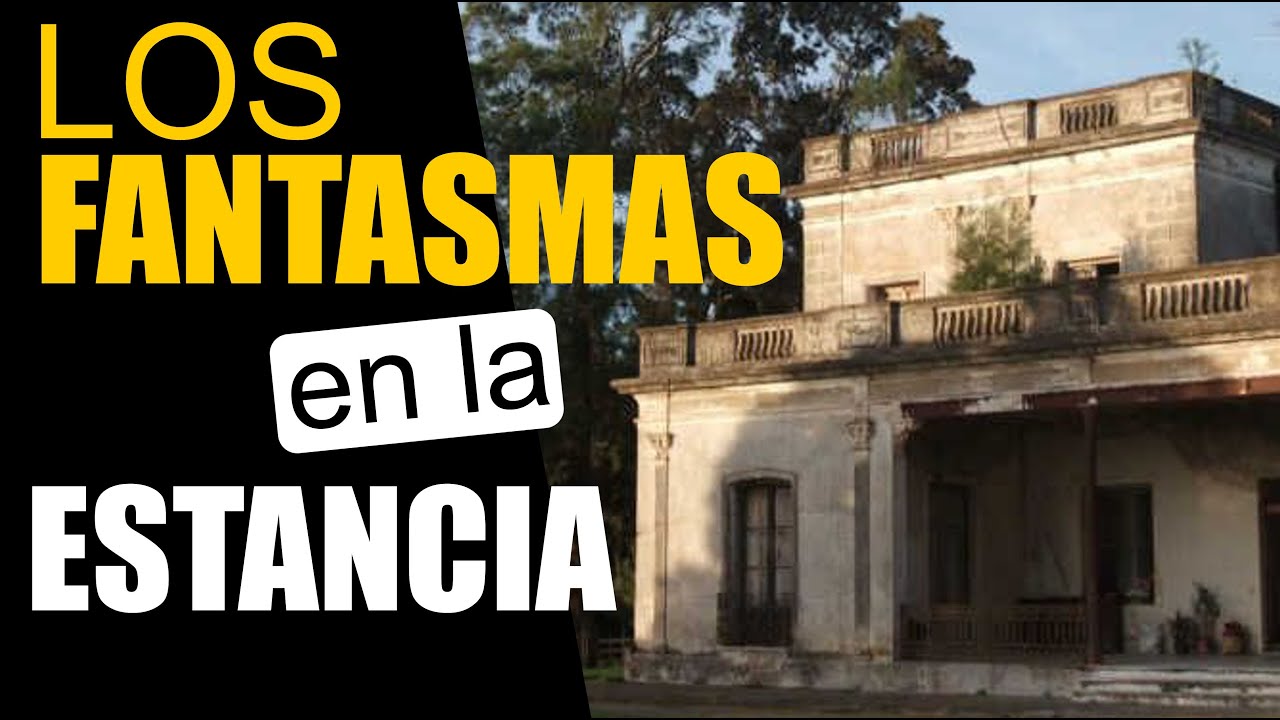 Tenes que conocer esta experiencia - nervustrack