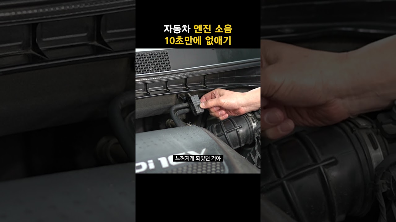 자동차 엔진 소음 10초만에 잡는 방법. 내 차도 따라해 보세요.