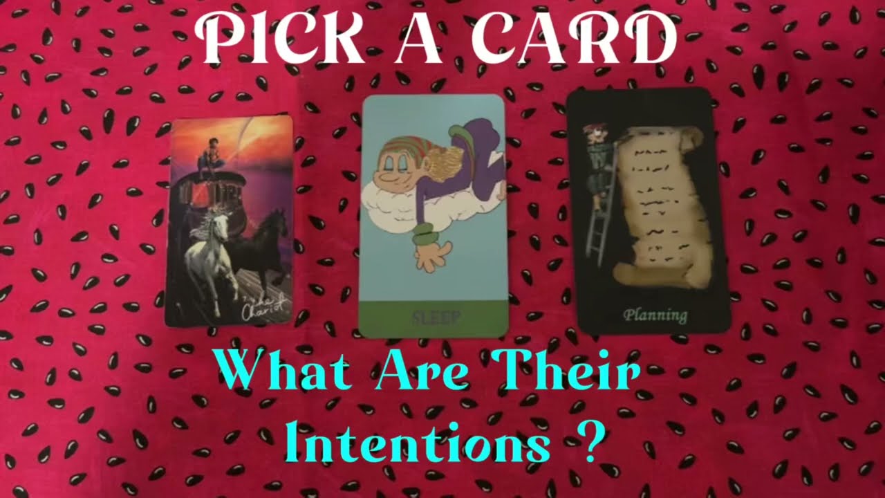 Pick A Card Tarot Reading ~What Are Their Intentions? 🗯️🤍🗯️