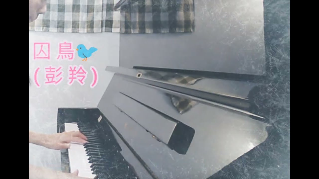 ［鋼琴組曲］久違的經典歌曲：囚鳥、過火、為了愛夢一生、為愛犯了罪、追想 #鋼琴演奏 #流行歌曲 #張信哲 #王傑 #彭羚 #日劇 #舒壓音樂 #pianocover