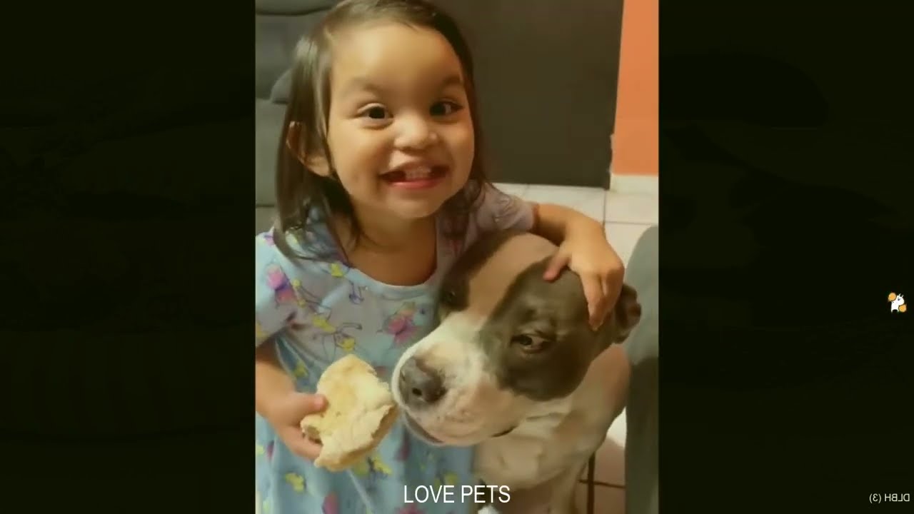 🐶 Sweet Dog Never Takes a Vacation From Escorting the Little Human. 🥰