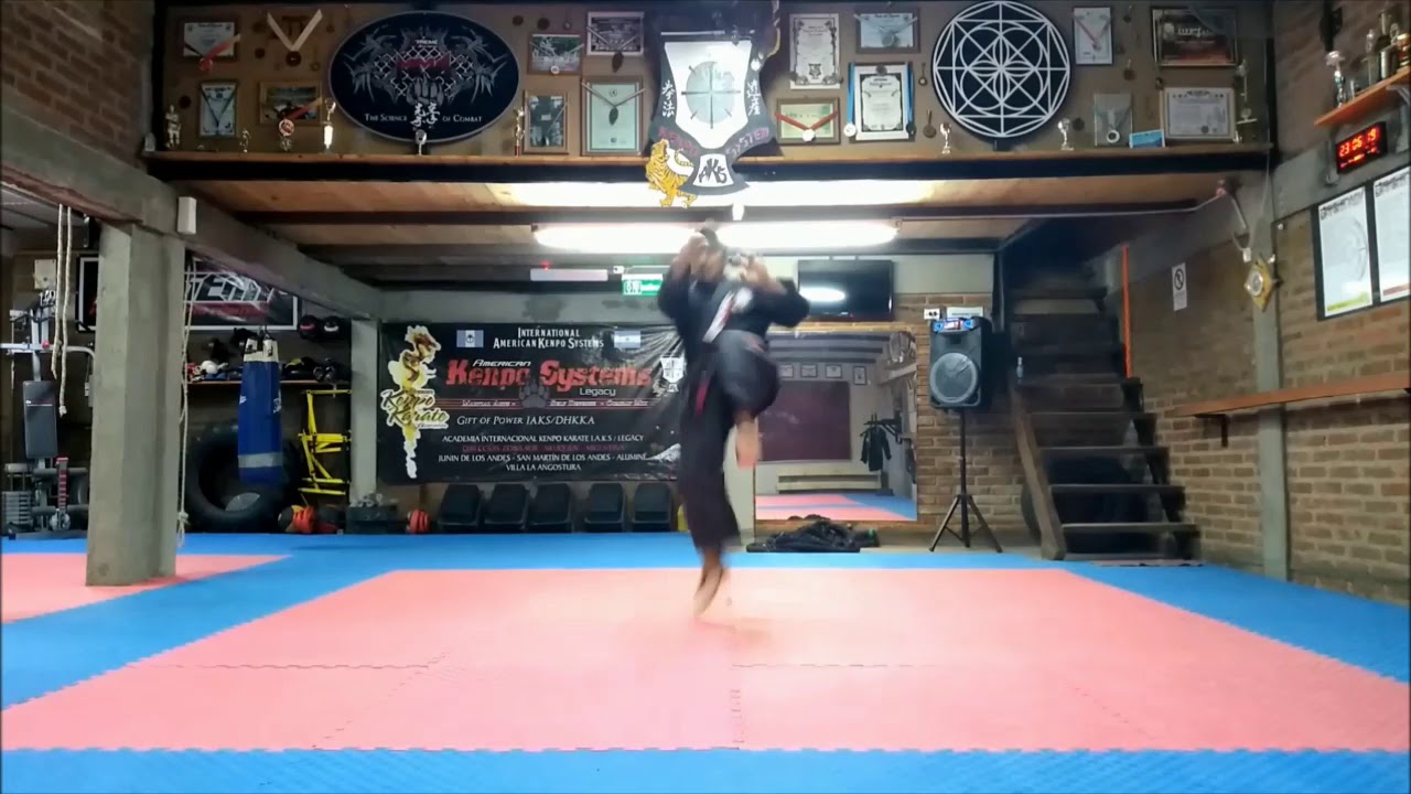 Kenpo Formas y Serie Blanco a Purpura.