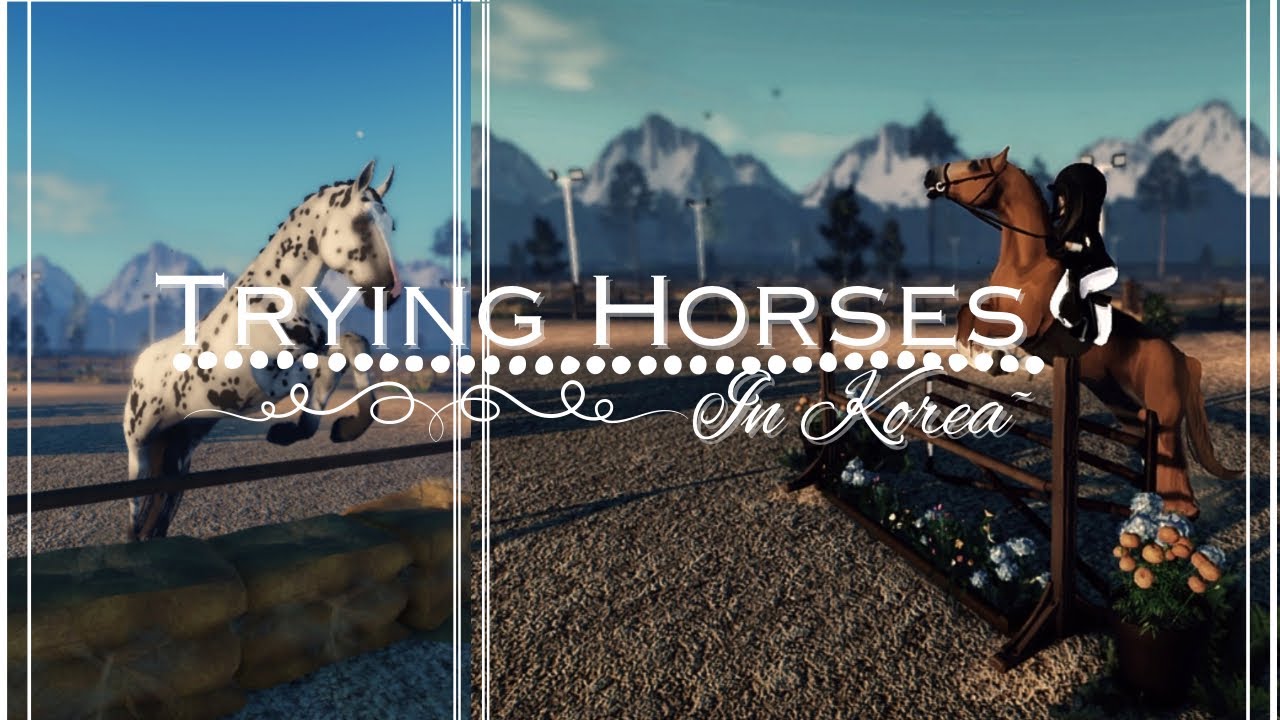 Come with me to try horses in Seoul Korea! Which one should I take home? lcsTesting