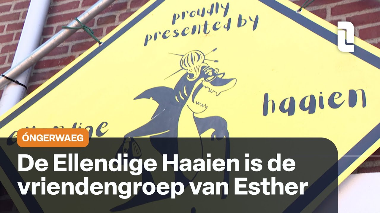 Óngerwaeg wil in Maasbree weten waar de ellendige Haaien vandaan komen