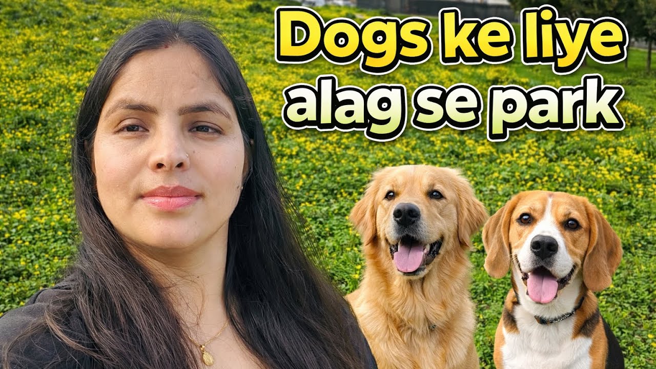 Dogs aur Bachon ke liye alag-alag area wala park | Family & Pet Friendly Park in Portimao 🐶👧
