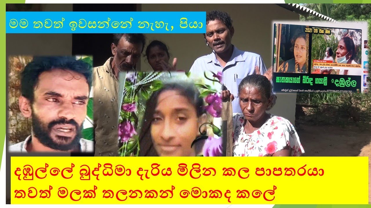 buddhini dariya new දඹුල්ලේ බුද්ධිමා දැරිය මිලින කල පාපතරයා තවත් මලක් තලනකන් මොකද කලේ