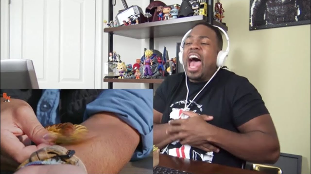 BITTEN by a GIANT DESERT CENTIPEDE! - REACTION!!!