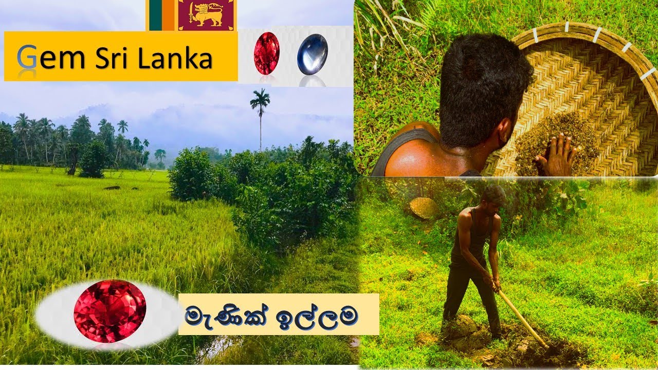 Exploring the Gem Mines of Sri Lanka with The Nature Boy: A Journey Through the Heart of the Gem