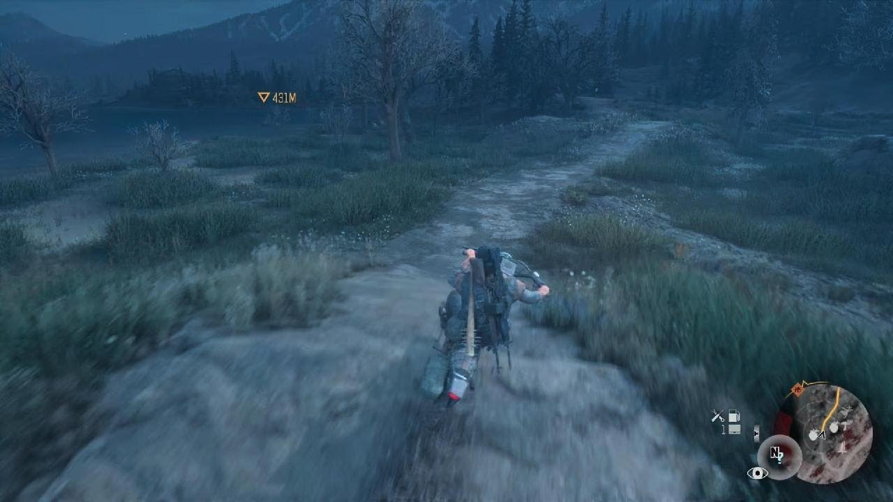 Days Gone