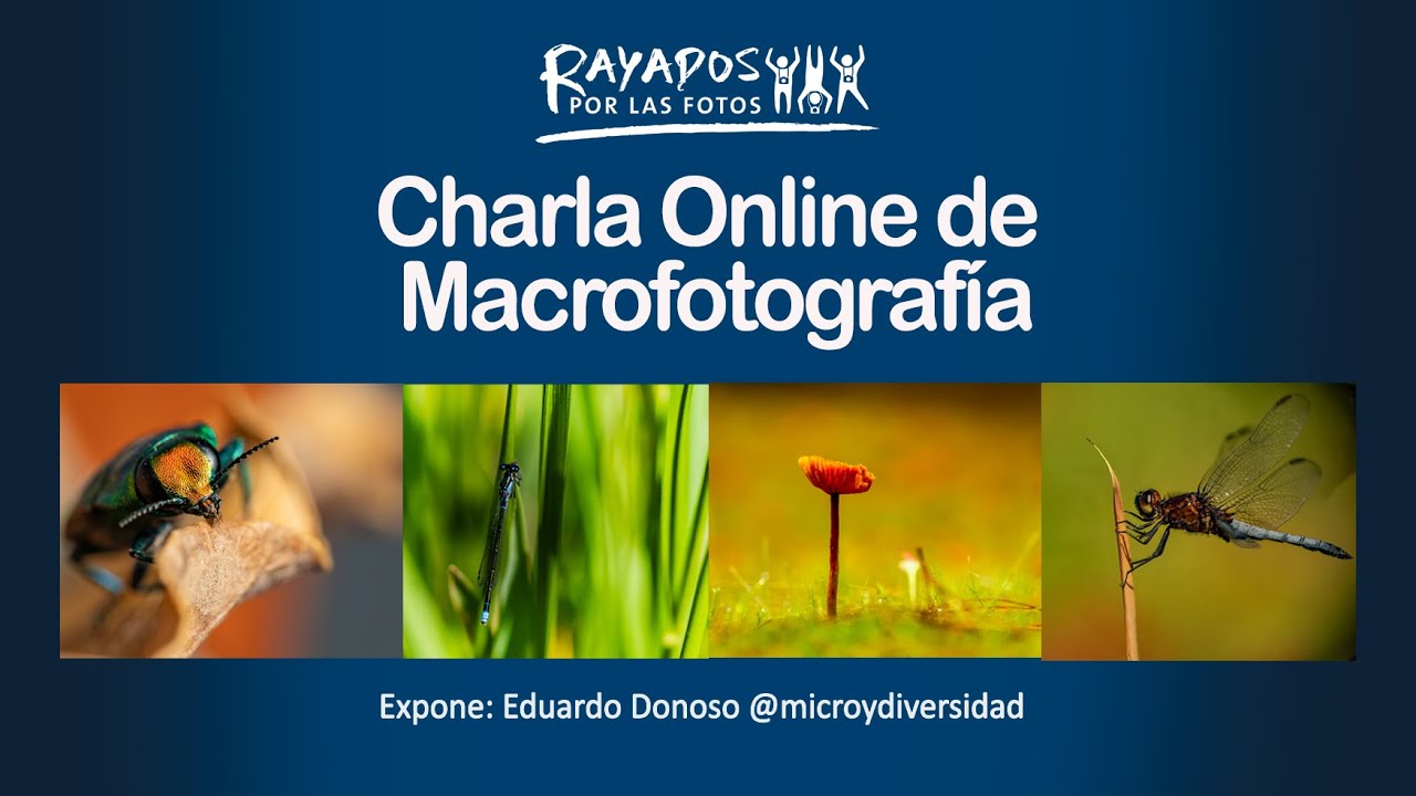 Charla Macrofotografía con Eduardo Donoso