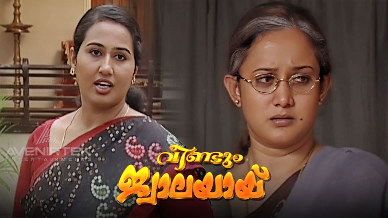 അനന്തേട്ടൻ പോയേപ്പിനെയാ ഞാൻ ഒറ്റക്കായത് | Veendum Jwalayayi | Malayalam Serials|വീണ്ടും ജ്വാലയായ്
