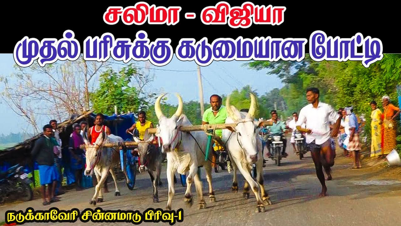 தஞ்சாவூர் (மா) நடுக்காவேரி சின்னமாடு பிரிவு-1 பந்தயம்||27/12/2020|| Thanjavur Nadukaveri Chinnamadu1