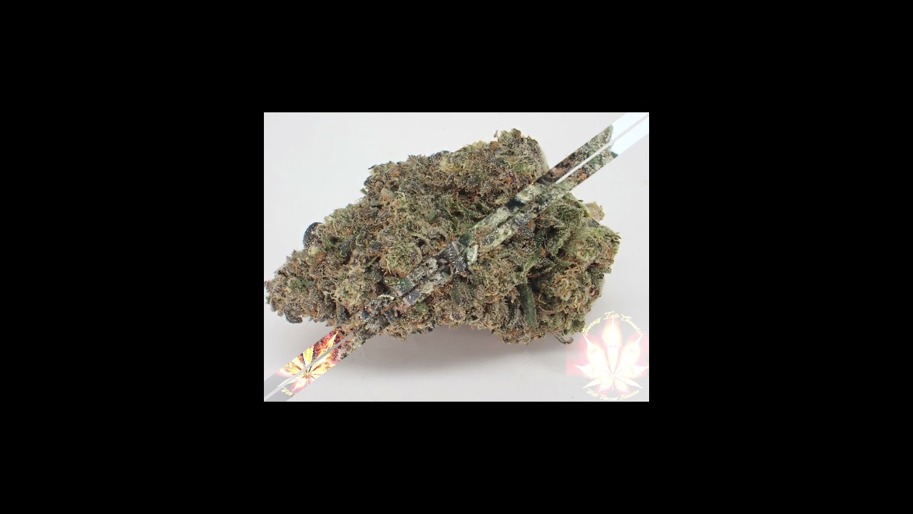 Hidden Pastry Cultivar