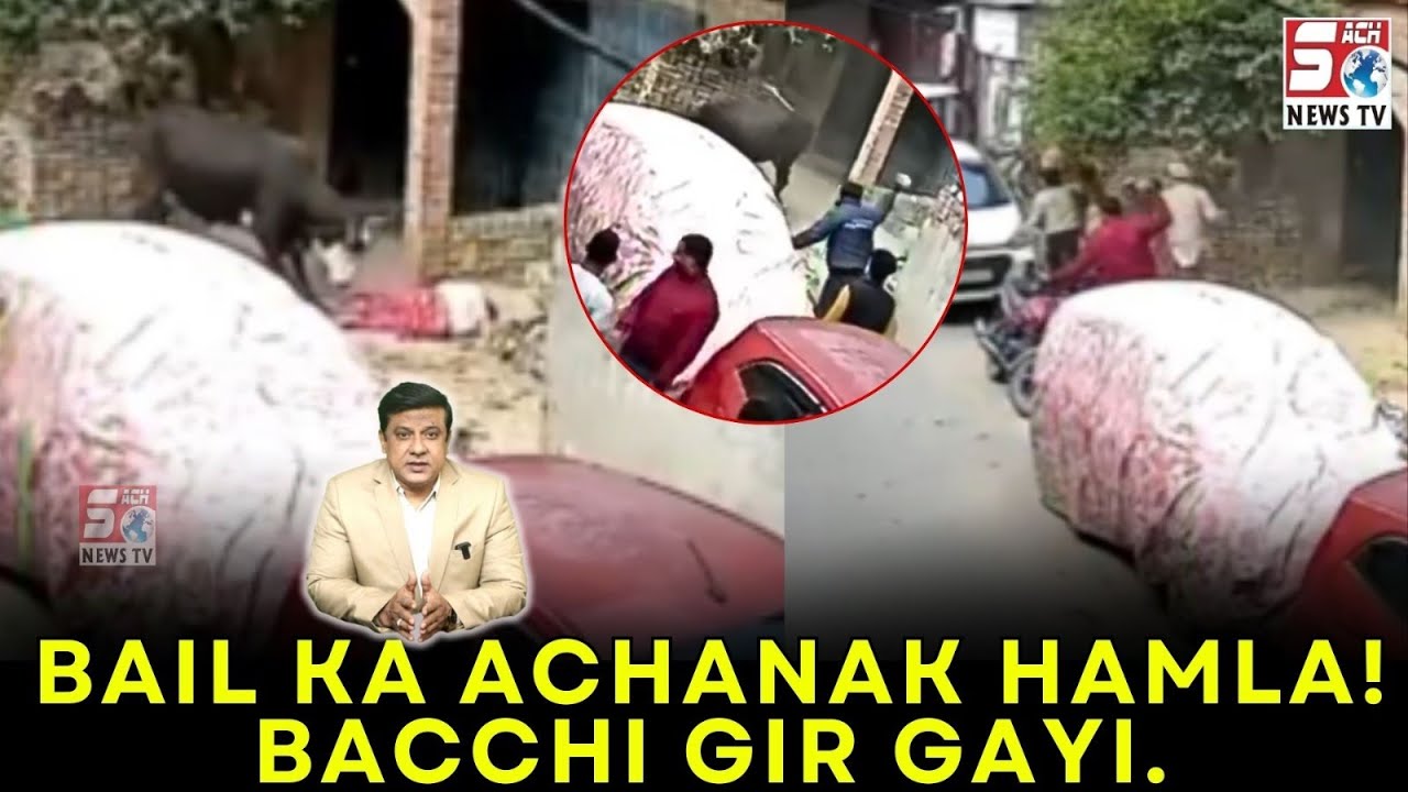 Miya Bhai Ne Bachaya Ek Choti Bachi Ko Gayi | COW |  Se | UP |