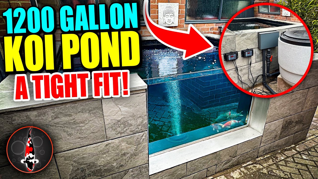 NO ROOM FOR A POND? WATCH THIS!!