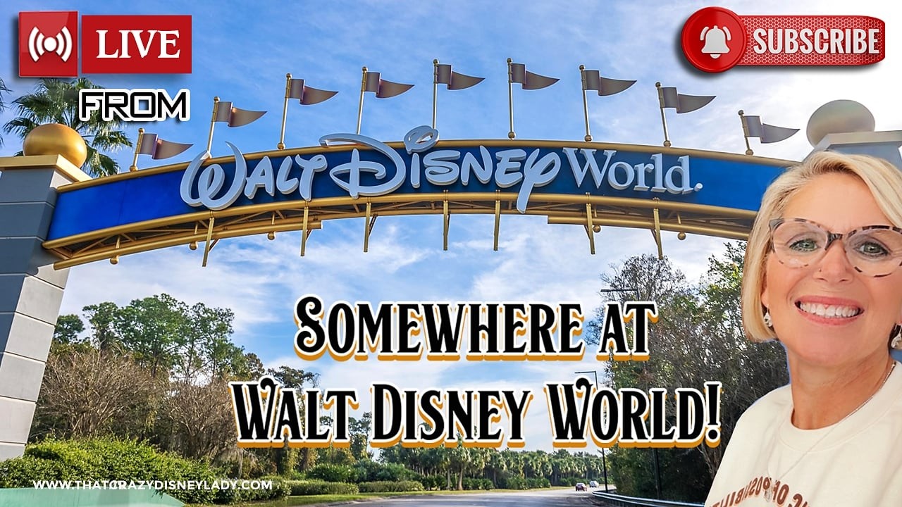 Somewhere at Walt Disney World 9/16/26  #live
